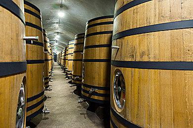 吉田直树曾开发类似《血源》的新IP 有同样的武器